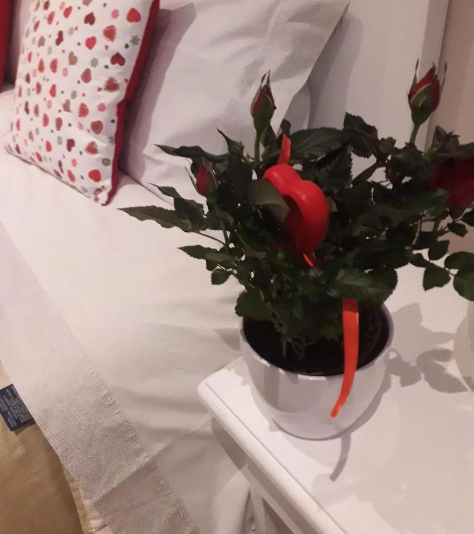 Reggiolacittainvisibile B&B Reggio Emilia 0*,